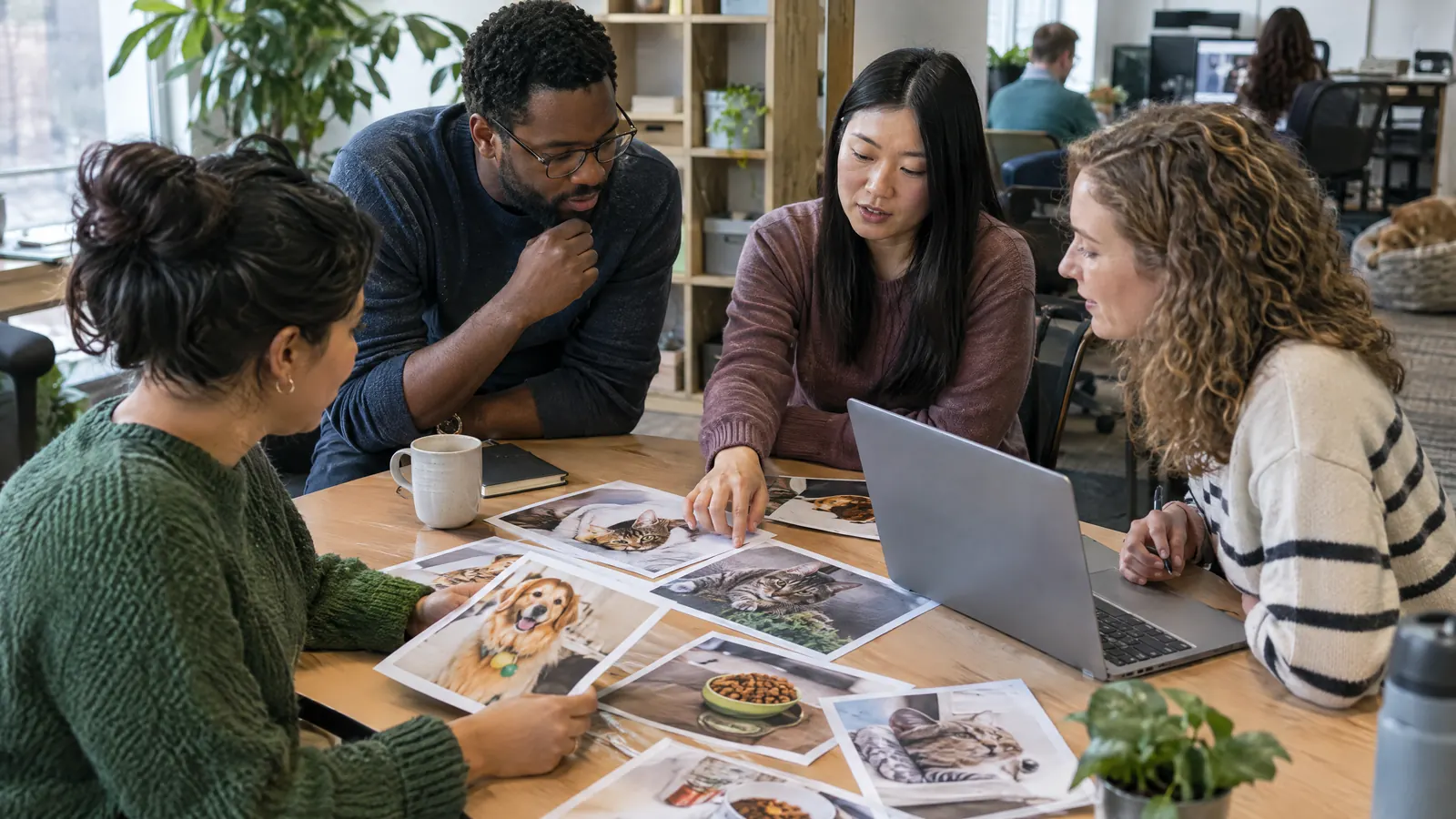 El equipo de una tienda de mascotas revisando fotos de producto